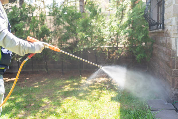 Outdoor Pest Control in Lansdale, PA